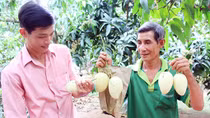Xây dựng thương hiệu gắn với chất lượng nông sản.