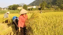  Những người đàn bà ngoại ô