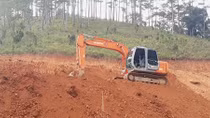 Hơn 1.100ha rừng “biến mất” sau khi giao đất cho DN
