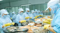 Xử lý hình sự doanh nghiệp trốn đóng BHXH để đảm bảo công bằng