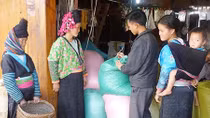Để người “ngồi đợi” thành người “đi câu…”