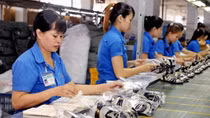 Cần chuyên nghiệp hóa doanh nghiệp gia đình