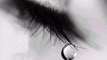 Tình yêu mù lòa của cô tôi