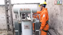 Điện lực Thái Thụy bảo đảm an toàn lưới điện trong mùa mưa bão