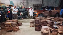 Tạm giữ hai đầu nậu vận chuyển lâm sản trái phép và tàng trữ ma túy