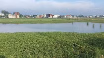 Cò đất vùng ven “ăn theo” chủ trương chuyển đổi đất nông nghiệp
