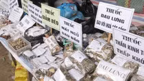 “Ngồi” trên đống thuốc nhưng vẫn phải nhập từ nước ngoài