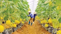 Agribank tiếp sức nông sản Việt ra thế giới