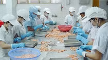 Dự thảo Bộ luật Lao động sửa đổi, bổ sung: Có đề xuất nên linh hoạt khung tuổi nghỉ hưu