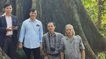 Quanh một chấm xanh