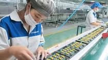 Xuất khẩu sẽ tăng trưởng mạnh vào cuối năm