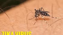 Ca nhiễm vi-rút Zika đầu tiên ở Bến Tre