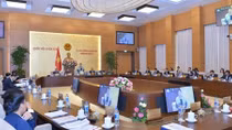 Tạm dừng bổ nhiệm cán bộ tại nơi sắp xếp huyện, xã