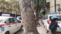 Hà Nội "khát" điểm đỗ xe