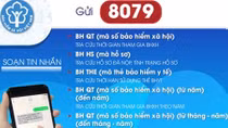 Từ tháng 8-2019, chỉ sử dụng đầu số 8079 trong tra cứu Bảo hiểm xã hội, Bảo hiểm y tế