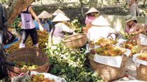 Bài học về xây dựng nông thôn mới nhìn từ thực tế