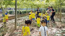  Đất sạch - cây đời