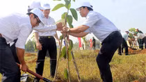 Phát động “Tết trồng cây đời đời nhớ ơn Bác Hồ”