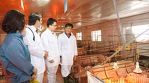 Agribank chung tay thúc đẩy kinh tế hộ phát triển