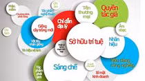 Năm 2017, bắt và xử lý 32 vụ hàng hóa vi phạm sở hữu trí tuệ
