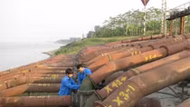 Hà Nội: Phát sinh hơn 150 vụ vi phạm đê điều, công trình thủy lợi