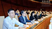 Tiêu chuẩn khắt khe đối với Đại sứ đặc mệnh toàn quyền