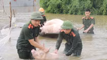 Nhiều việc làm thiết thực xây dựng hình ảnh đẹp trong lòng nhân dân