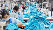 Nhiều doanh nghiệp chưa tận dụng ưu đãi thuế quan để đẩy mạnh xuất khẩu