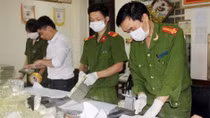 Đoàn giám sát về giám định tư pháp tố tụng hình sự làm việc với các cơ quan Trung ương