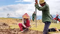 “Cơn sốt” tìm kiếm đá đen ven hồ thủy điện Sông Hinh