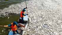 Chúng ta đang đầu độc chính bản thân mình