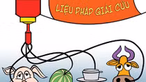 Phỏng vấn con heo