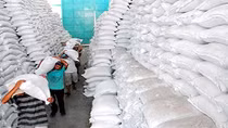 Gần 700 tấn gạo hỗ trợ nhân dân Cao Bằng trong mùa giáp hạt