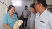 An toàn thực phẩm: Hễ kiểm tra là "lòi" ra sai phạm 