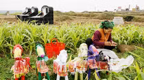 Tạ ơn cánh đồng làng