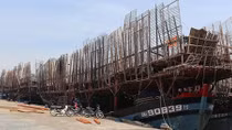 Ngư dân lao đao vì tồn kho hàng trăm tấn mực