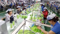 Tham gia các Hiệp định EVFTA và IPA: Doanh nghiệp phải cạnh tranh ngay tại sân nhà