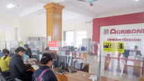 Agribank nỗ lực phát huy hiệu quả hoạt động kinh doanh đối ngoại