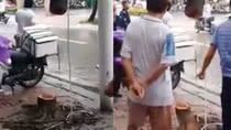 Lợi dụng mưa bão, “sưa tặc” hoạt động