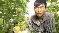 Cần liên kết giữa nông dân với doanh nghiệp trong nông nghiệp ứng dụng công nghệ cao