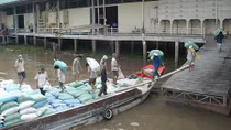 Xuất khẩu gạo, những bước đi vững chắc
