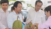 Tìm giải pháp phát triển chuỗi giá trị cho nông sản