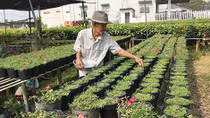 Mảnh vỡ của cuộc du hành