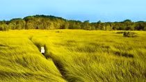Mẹ