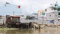 Ngăn triều kém hiệu quả, giải tỏa để dây dưa