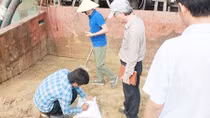 Xử lý thành công cát biển thành cát xây dựng