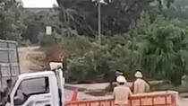 Xe chở gỗ tông thẳng vào CSGT đang làm nhiệm vụ