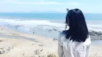 Tôi đánh mất chú "vược biển"