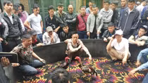 Náo nhiệt trận đấu chọi gà ngày đầu năm tại hội làng Ngũ Xã