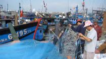 Quốc hội giám sát việc bồi thường cho người dân sau sự cố biển miền Trung